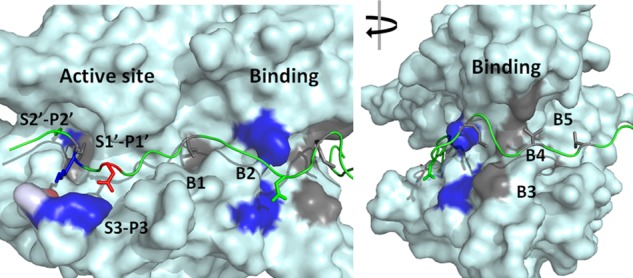 FIGURE 1.