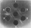 39
