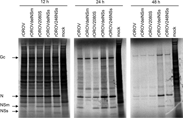 FIG 3