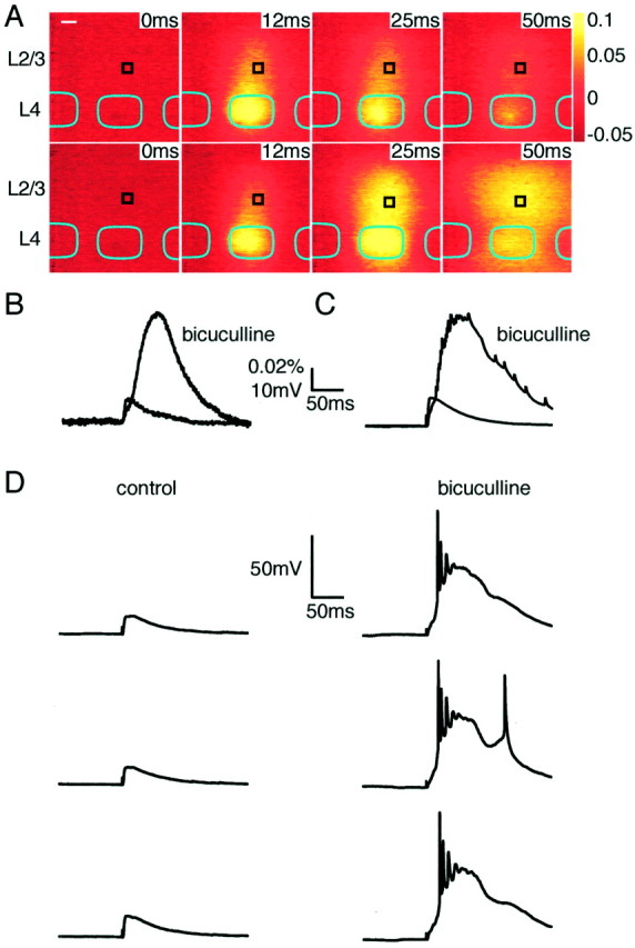 Fig. 6.