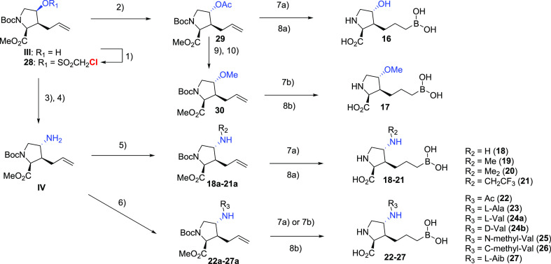 Scheme 3