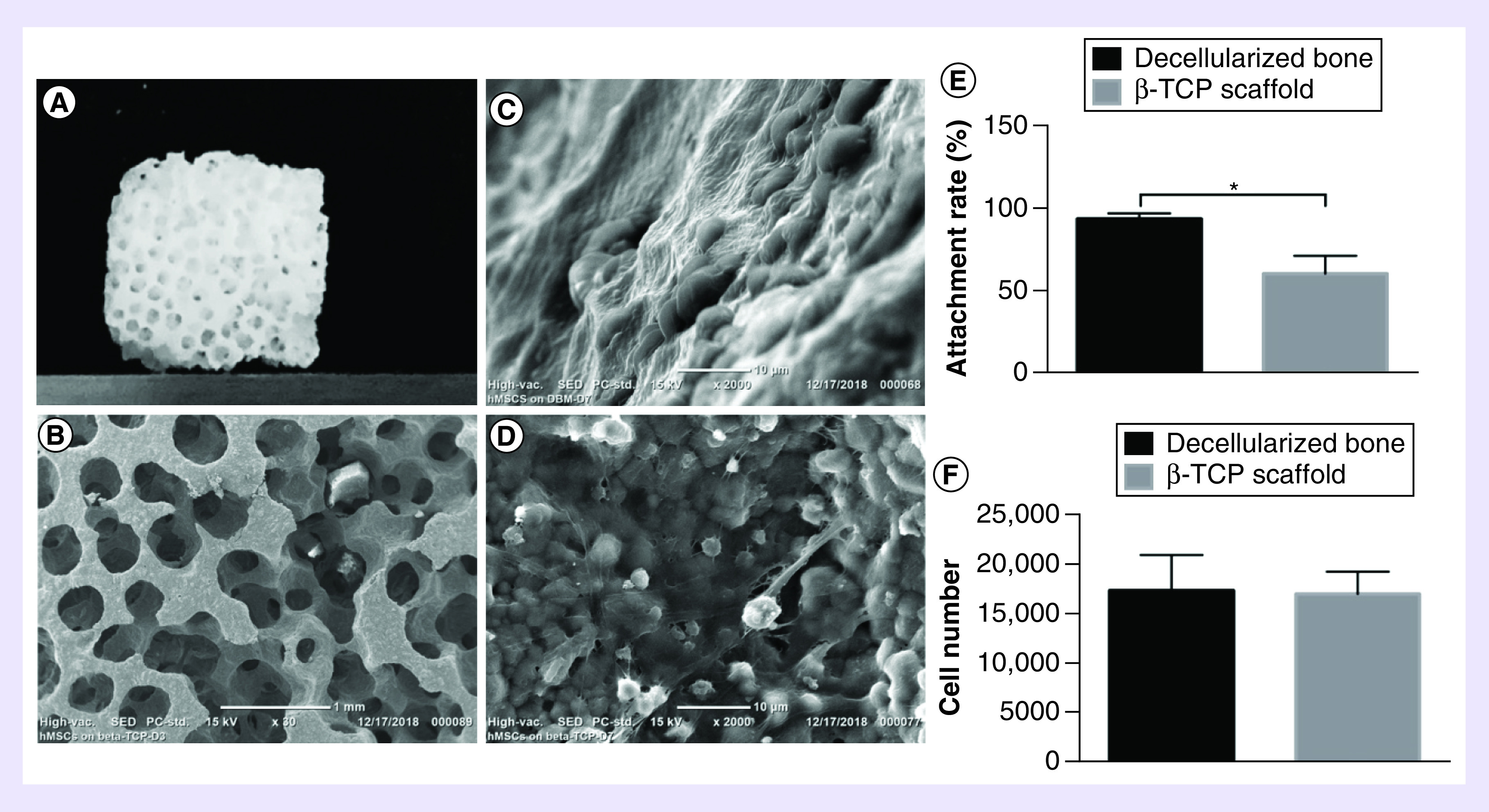 Figure 4. 