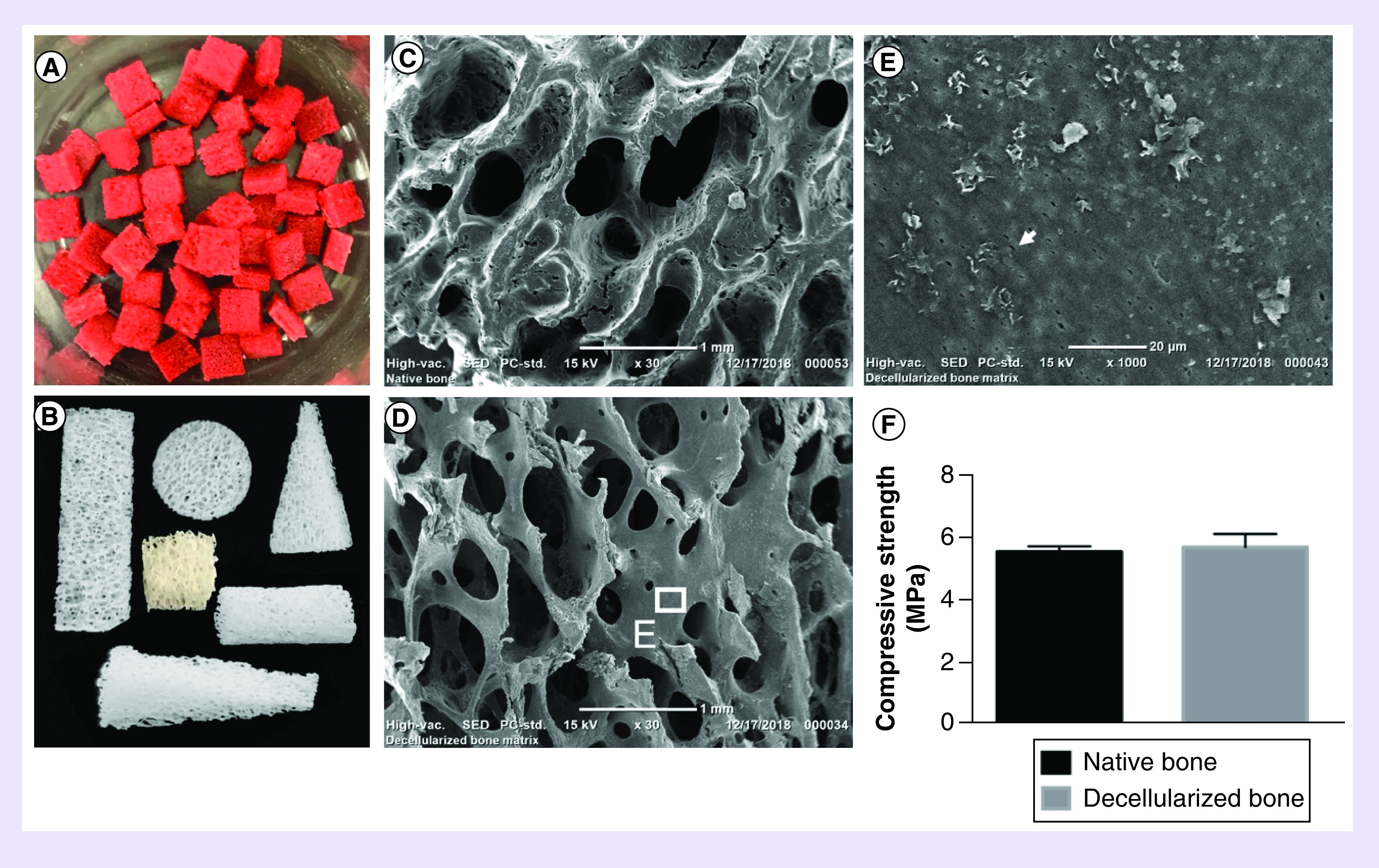 Figure 1. 