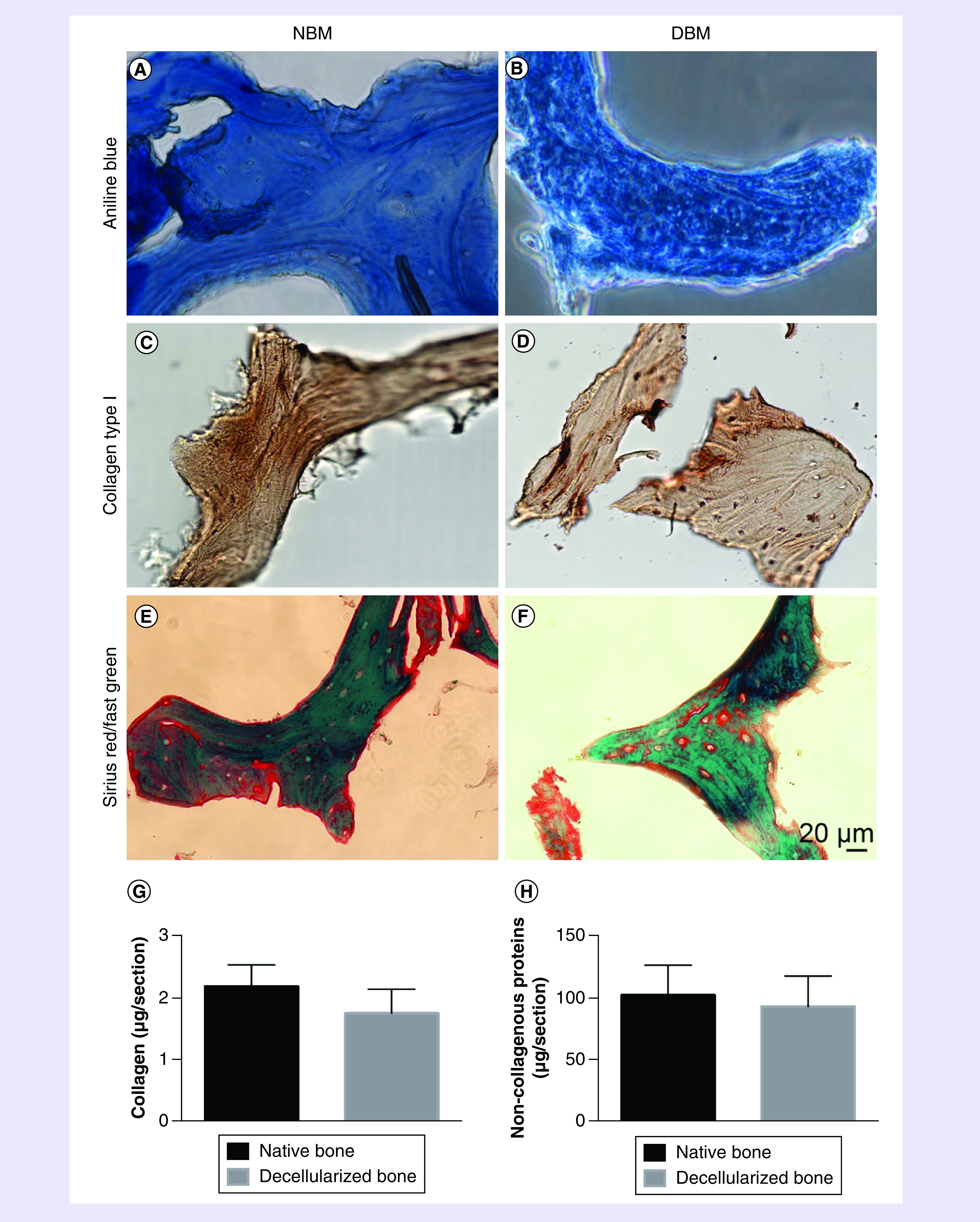 Figure 3. 