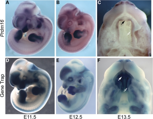 Figure 4.