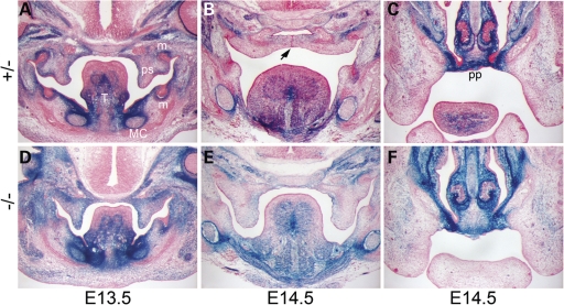 Figure 5.