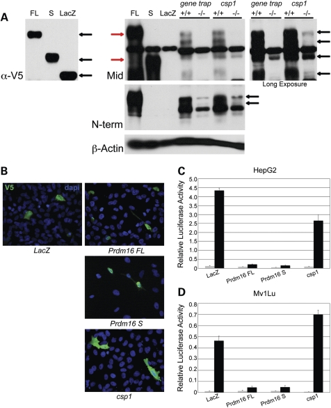 Figure 6.