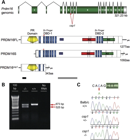 Figure 3.