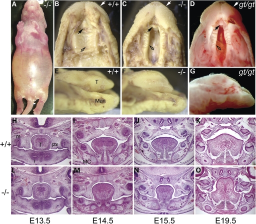 Figure 1.