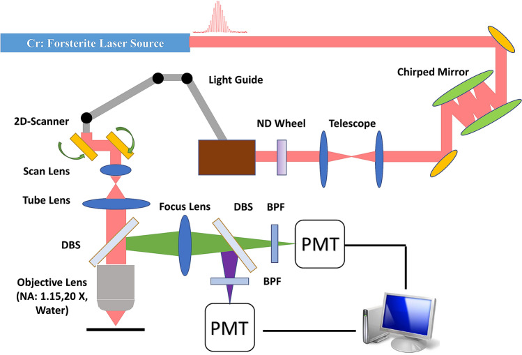 Figure 10