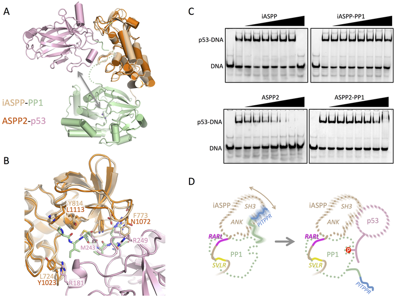 Figure 6.