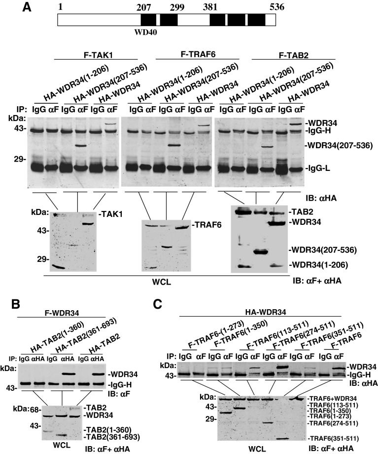 Fig. 3