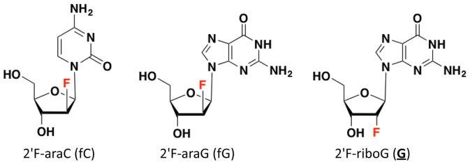 Figure 2.