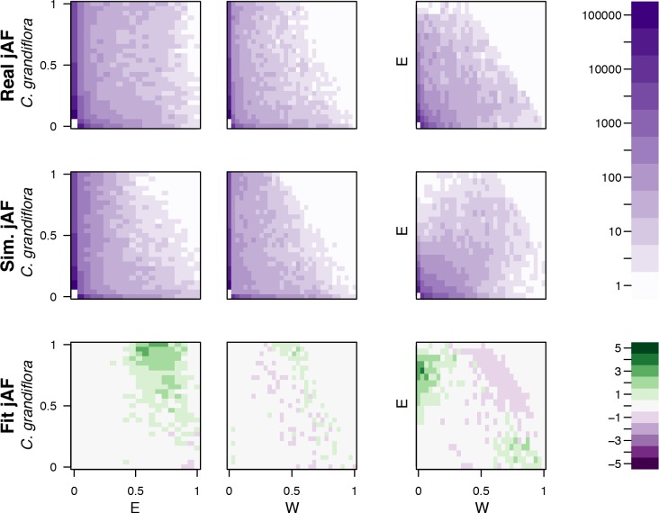 Figure 2—figure supplement 2.