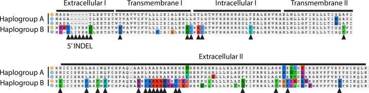 Figure 6—figure supplement 3.