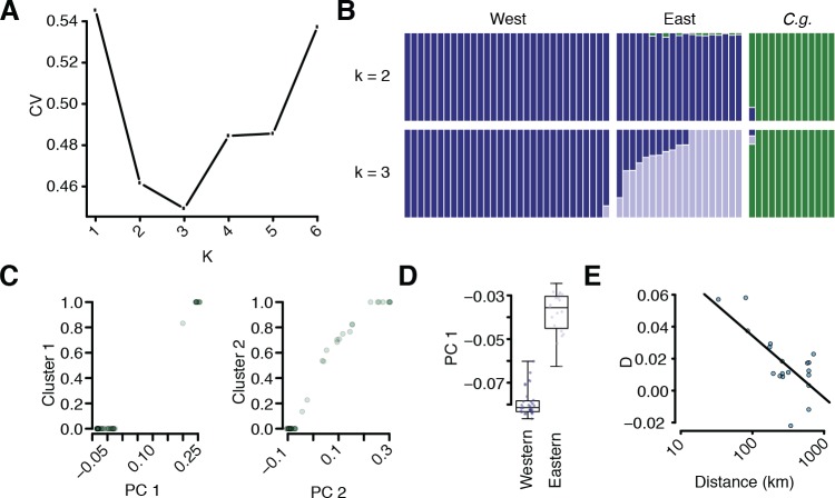 Figure 2—figure supplement 1.