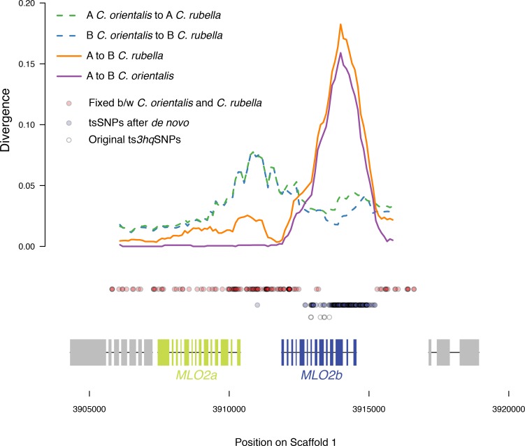 Figure 6—figure supplement 1.