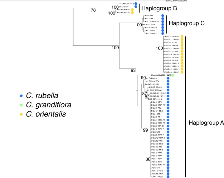 Figure 6—figure supplement 2.