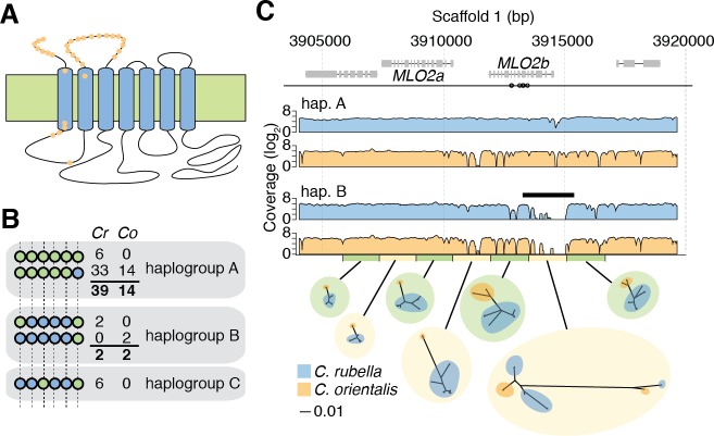 Figure 6.