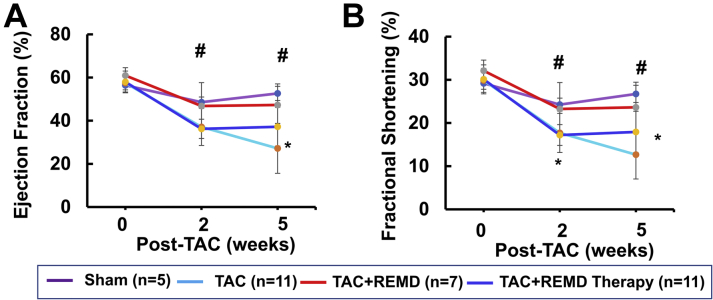 Figure 7