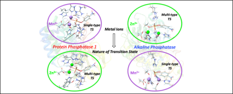 graphic file with name nihms-1642404-f0001.jpg