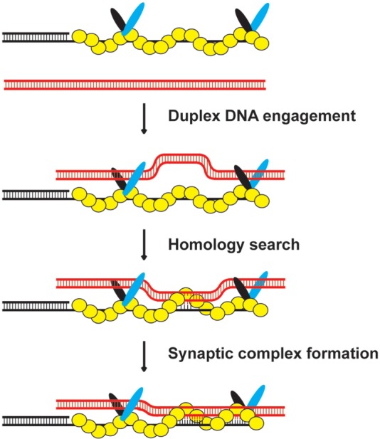 Figure 6.