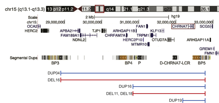 Figure 1