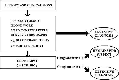 Fig. 11