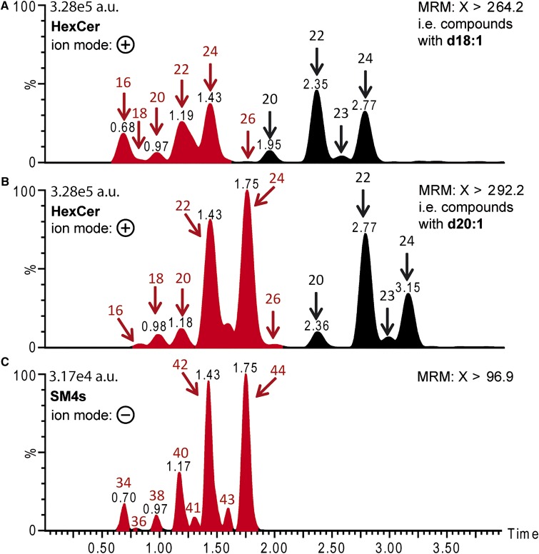 Fig. 7.