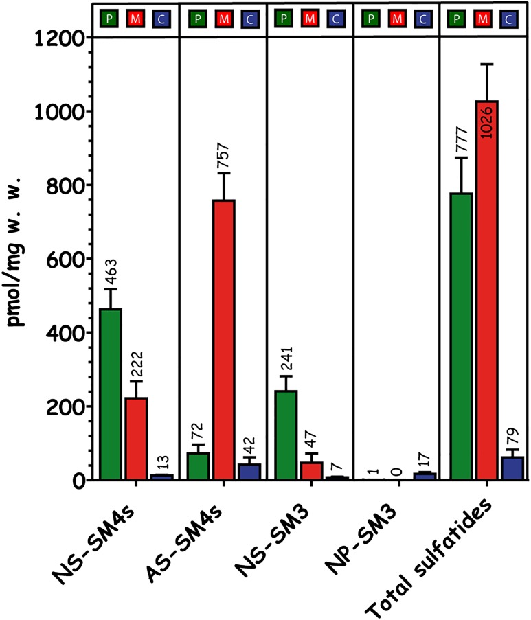 Fig. 3.