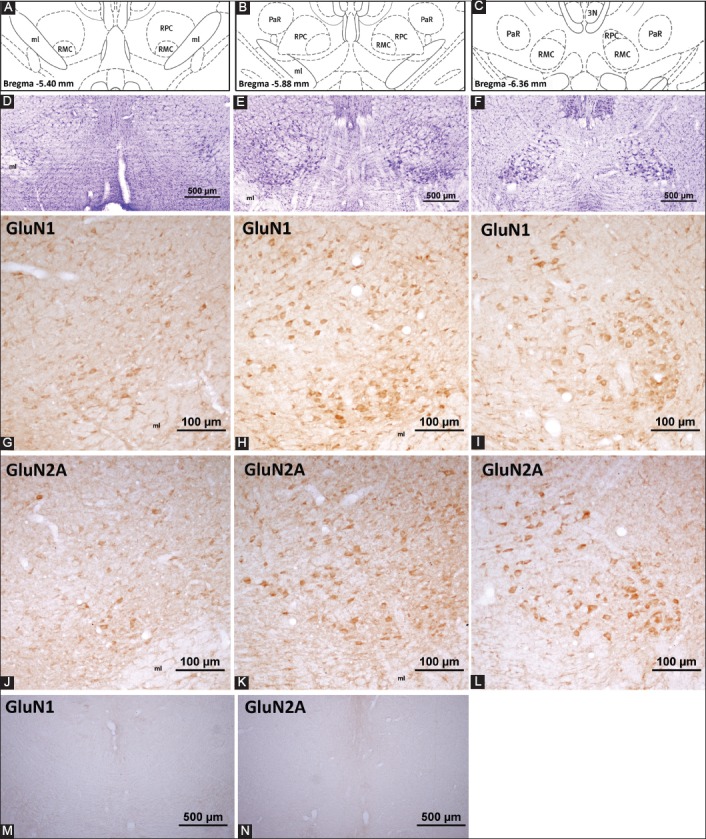 FIGURE 3