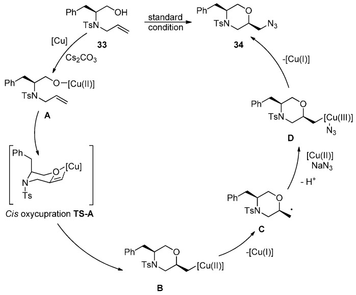 Scheme 27