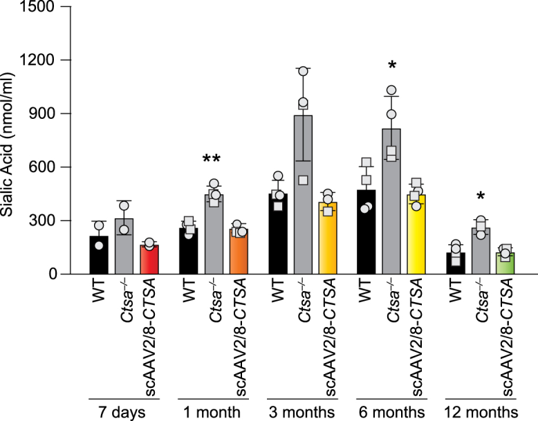 Figure 3