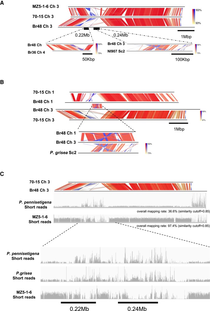 
Fig. 2.