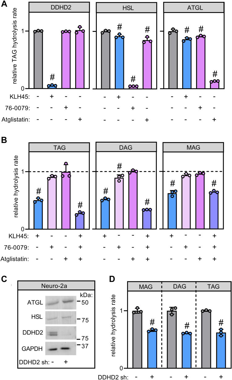 Fig. 2