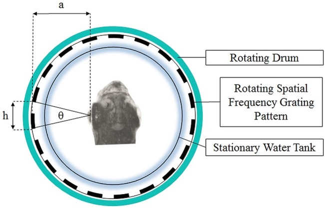 Fig 2