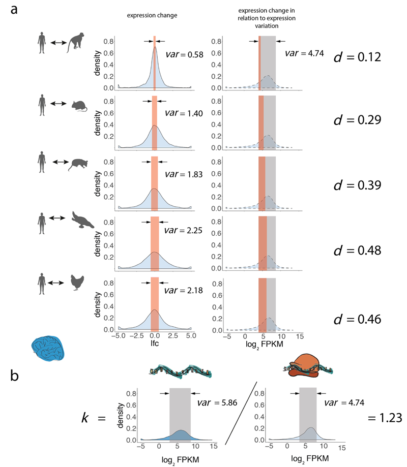 Extended Data Fig. 5