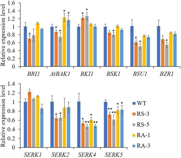 Figure 5