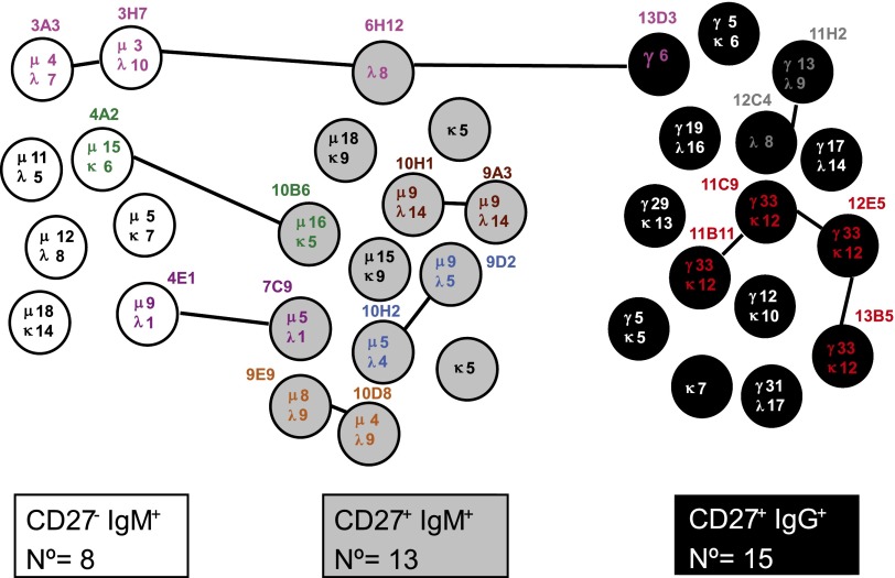 FIGURE 7.