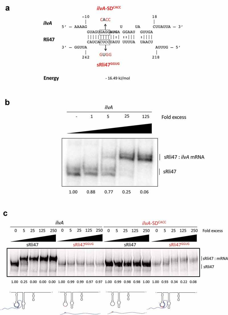 Figure 4.