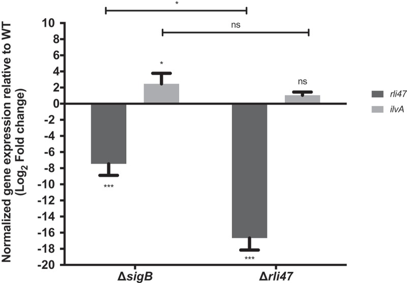 Figure 5.