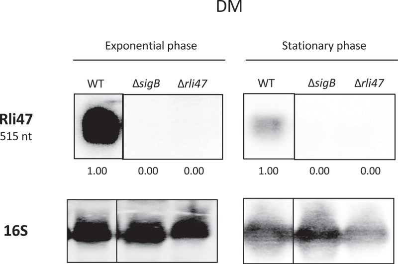 Figure 2.