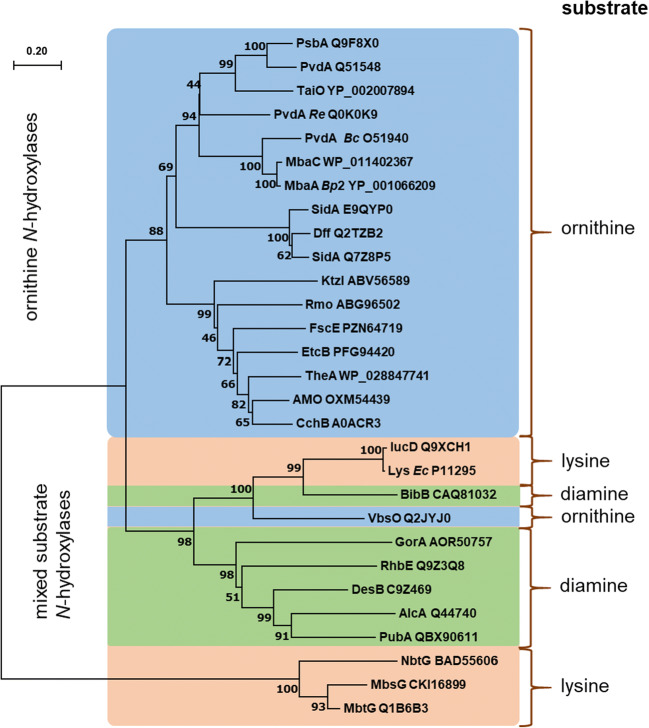 Fig. 4