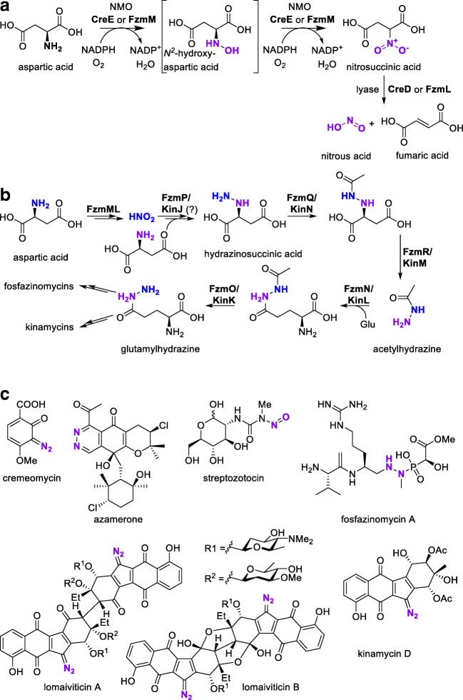 Fig. 6