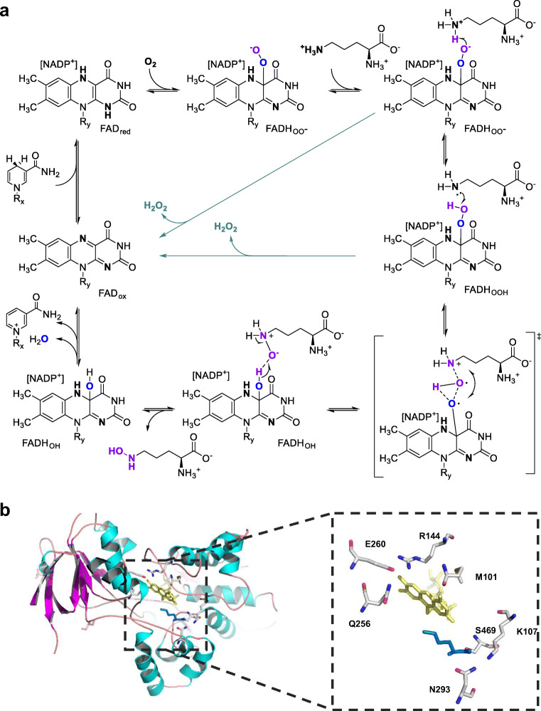 Fig. 2