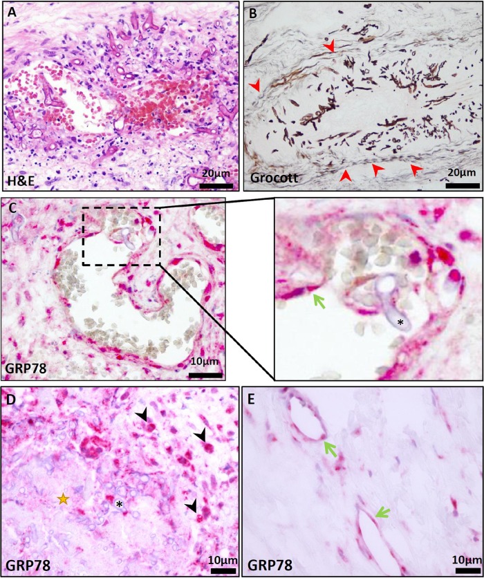 FIG 2