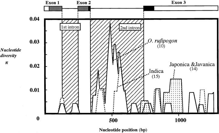 Figure 3.—