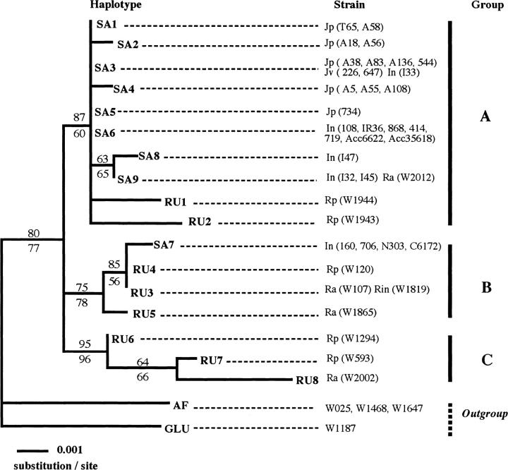 Figure 4.—