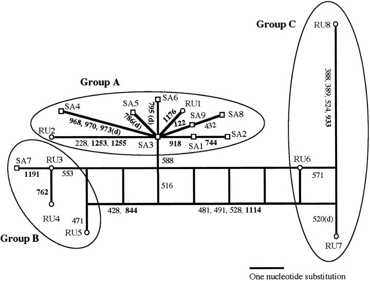 Figure 5.—