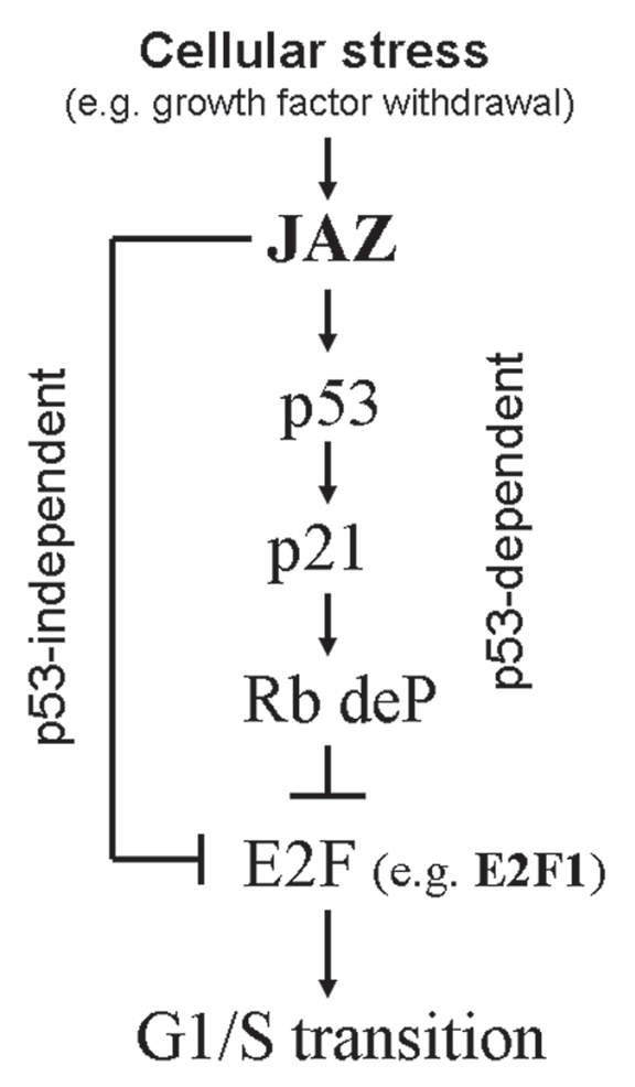 Figure 8